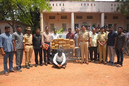 Cannabis smuggler arrested